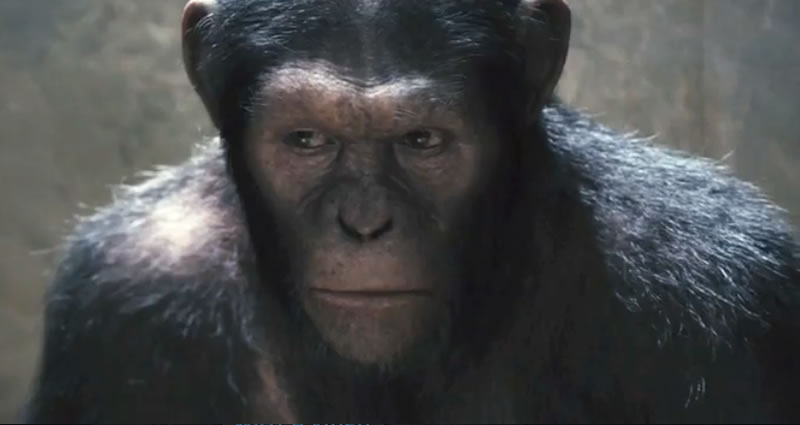 Rise of the Planet of the Apes előzetes